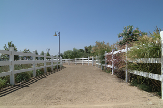 Dirt road with fences