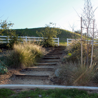 Secondary Access to Coral Ridge