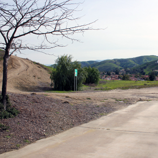 Adobe Loop 1 web.jpg