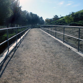 Torrey Pines Loop Trail