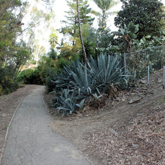 Hollow Run 1 web.JPG