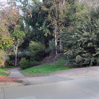 Hickory Creek 2 web.jpg