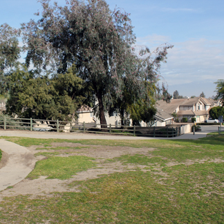 Oakridge Trail 2 web.jpg