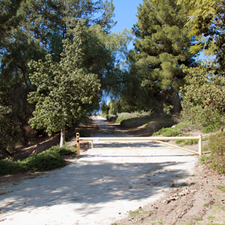 Monteverde Trail 2 web.jpg