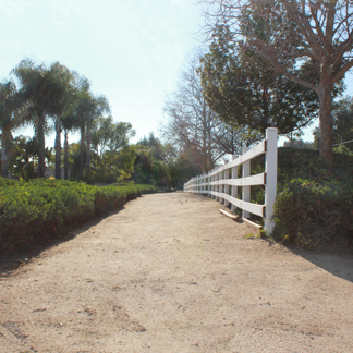 Eucalyptus Loop 3 web.jpg