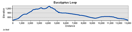Eucalyptus Loop Elevation Chart