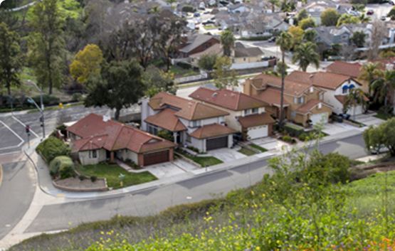 Looking down the hill of wildflowers houses and hills in the distance