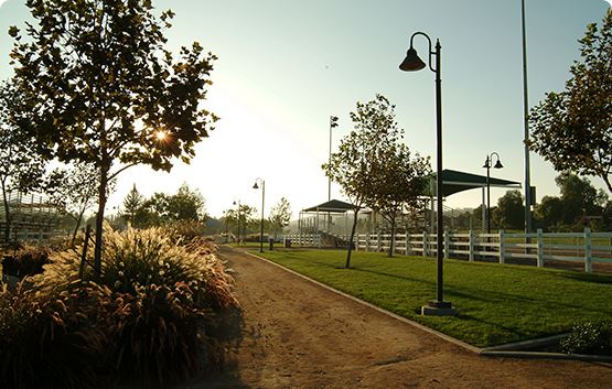 A path through the park