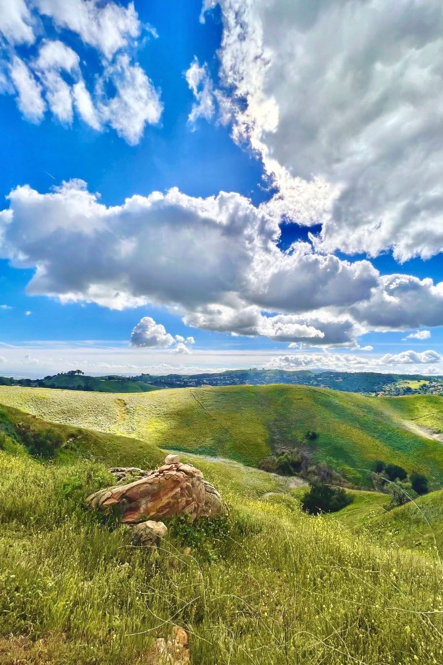 Photo Contest - Arts & Culture