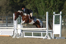 McCoy Equestrian Center Arena