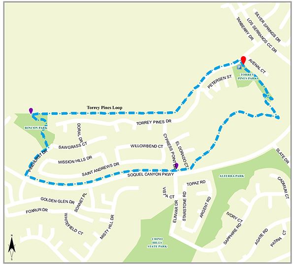 Torrey Pines Loop Map