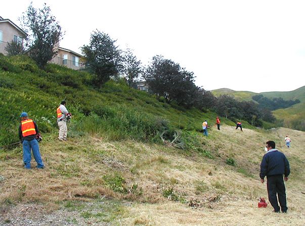 Photo of Open Space Crew Working