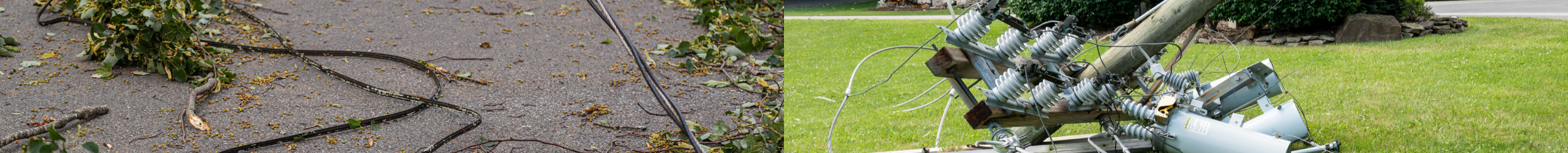 Downed Power Lines