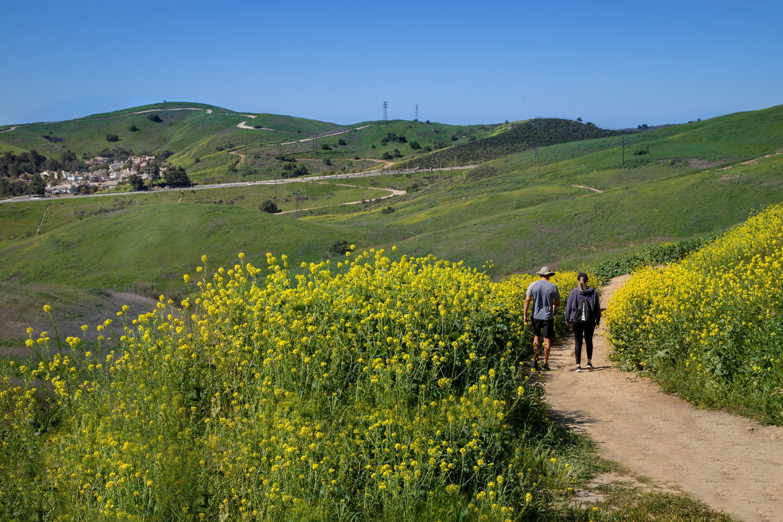 Photo of La Sierra Trail and Open Space
