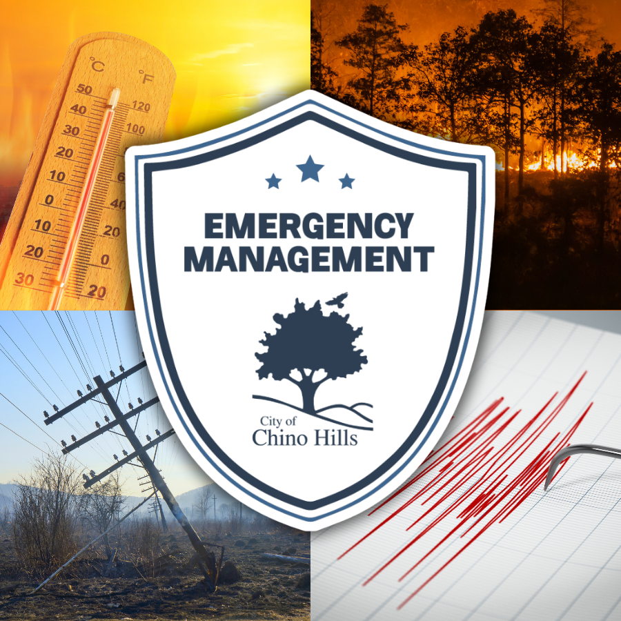 Emergency Management Logo